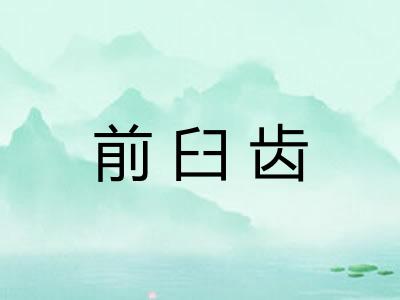 前臼齿