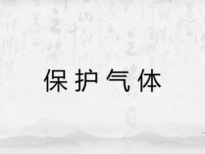保护气体