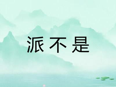 派不是
