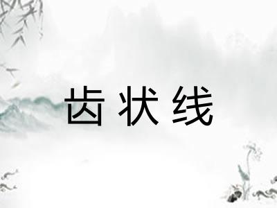 齿状线