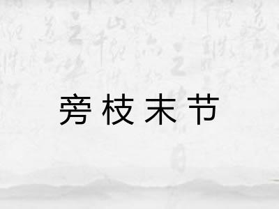 旁枝末节