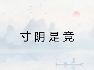 寸阴是竞