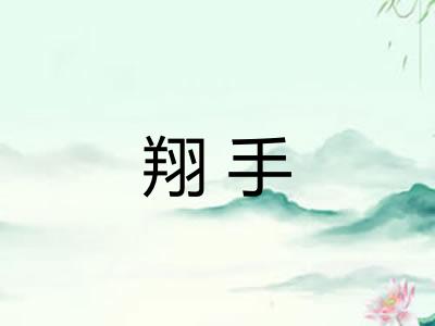 翔手