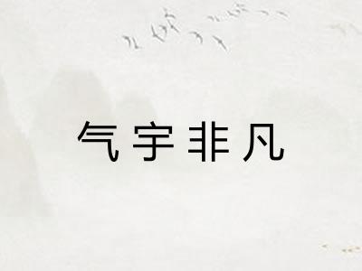 气宇非凡