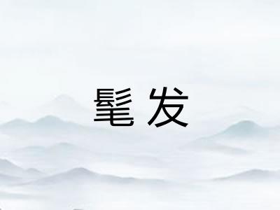 髦发