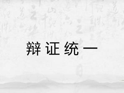 辩证统一