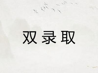 双录取