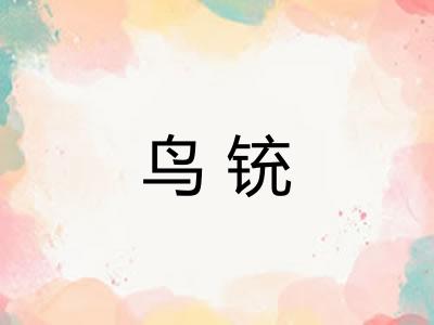 鸟铳