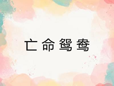 亡命鸳鸯