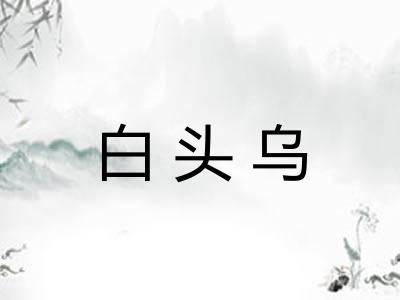 白头乌