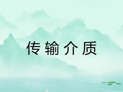 传输介质
