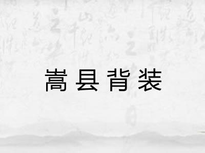 嵩县背装