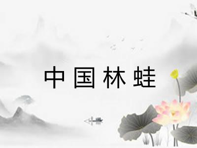 中国林蛙