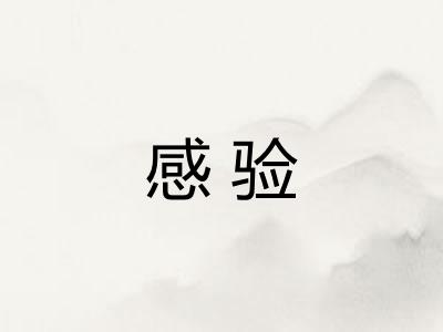 感验
