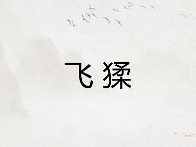 飞猱