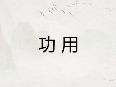 功用