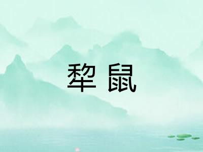 犂鼠