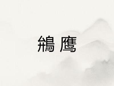 鴘鹰