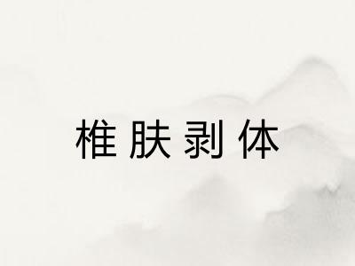椎肤剥体