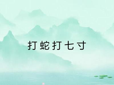 打蛇打七寸