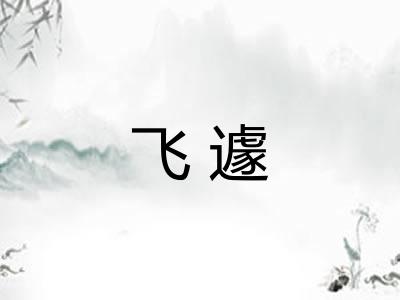 飞遽