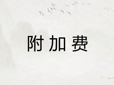 附加费