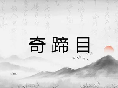 奇蹄目