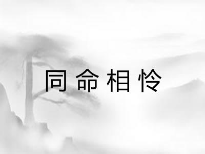 同命相怜