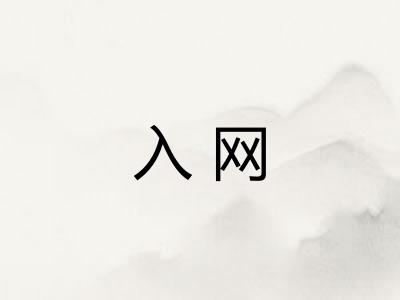 入网