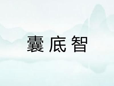 囊底智