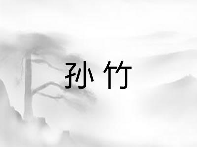 孙竹