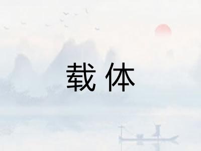 载体