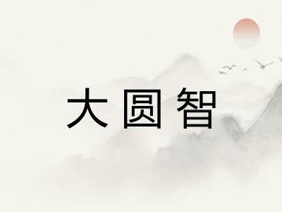 大圆智