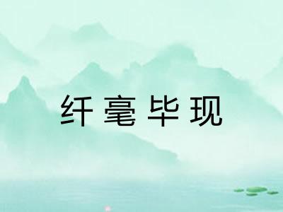 纤毫毕现
