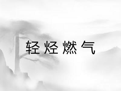 轻烃燃气