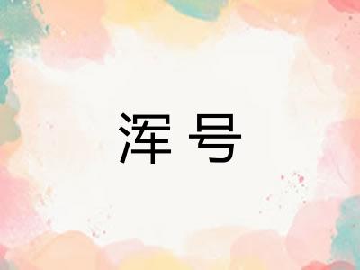 浑号