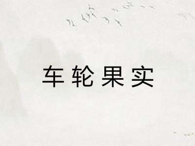 车轮果实
