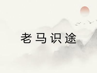 老马识途