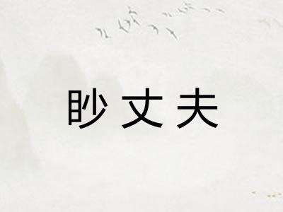 眇丈夫