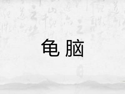 龟脑
