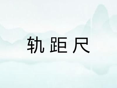 轨距尺