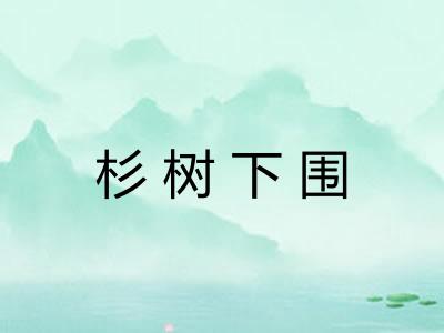 杉树下围