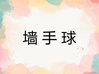 墙手球