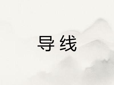 导线