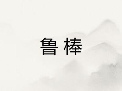 鲁棒