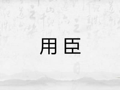 用臣