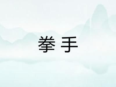 拳手