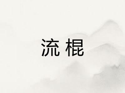 流棍