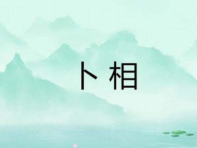 卜相