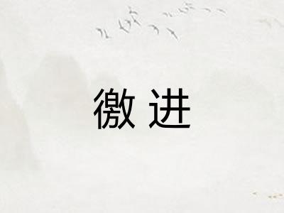 徼进
